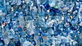 plastic ocean integrity