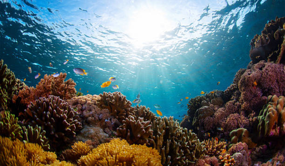 ocean integrity