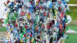 plastic-bottles-