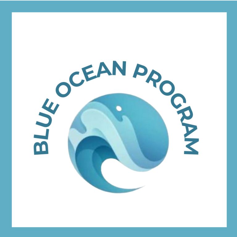 Blue Ocean Program